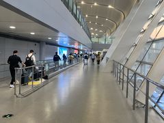 -合肥新桥国际机场-航站楼