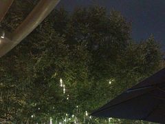 -杭州君悦酒店·青莳