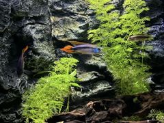 -上海海洋水族馆