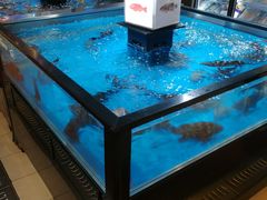 水产区-盒马鲜生(189购物中心店)