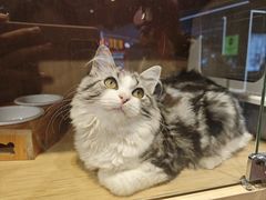 -天河领展广场