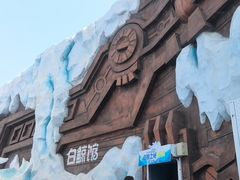 -秦皇岛乐岛海洋王国