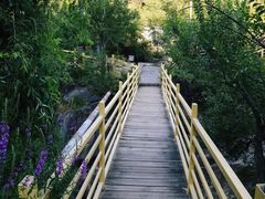 -百里山水画廊乌龙峡谷