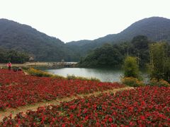 -广州市石门国家森林公园