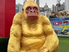 -友邦嘉年华