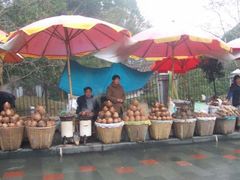 -溪口-滕头旅游景区