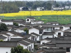 -桤木河湿地公园