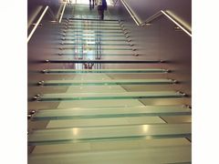 透明楼梯-Apple 零售店(Causeway Bay)