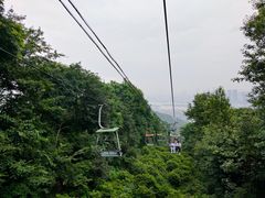 -茶颜悦色(岳麓山顶店)