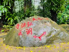 -深圳仙湖植物园