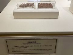 -南越王博物院
