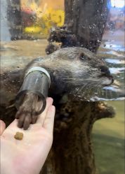 -Zoolung Zoolung动物主题公园(海信广场店)