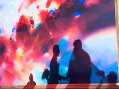 -上海浦东星河湾酒店