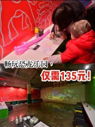 点击看大图 -恐龙探索乐园(磁器口店)