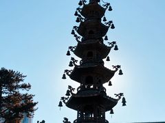 -天津大悲禅院
