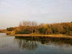 -长广溪湿地公园