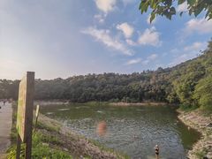 -紫金山山顶公园