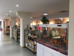 点击看大图 -芳妮豆丁家庭影像馆(宝安店)