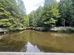 -山王坪喀斯特国家生态公园