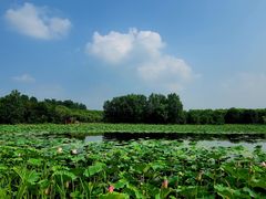 -东郊湿地公园
