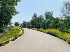 -东郊湿地公园