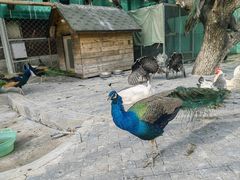 -静之湖度假区