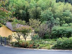 -莫干山风景区