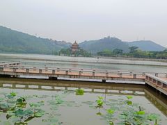 -顺峰山公园