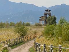 -野鸭湖国家湿地公园