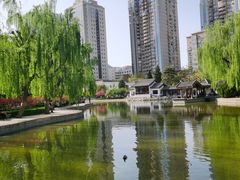 -团结湖公园