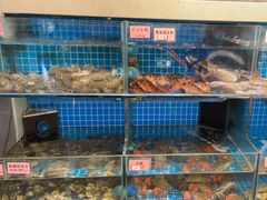 -涌觅名灶·本地海鲜宁波菜(财富广场店)
