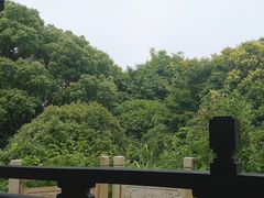 -梁鸿国家湿地公园