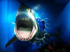 iphone_upload_pic-船奇蒸汽海鲜·闽菜(八市海鲜总店)