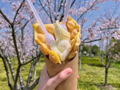 -阳澄湖半岛旅游度假区