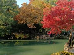 -惠山古镇·寄畅园