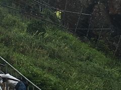 -七仙岭温泉国家森林公园