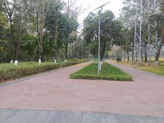 -重庆彩云湖湿地公园