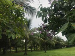 -白沙门生态公园
