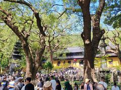 -普陀山风景名胜区-法雨禅寺