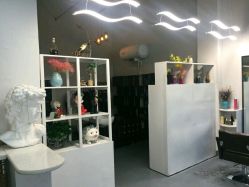 点击看大图 -DL HAIR SALON