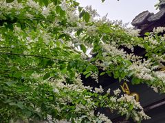-回龙窝历史文化街区