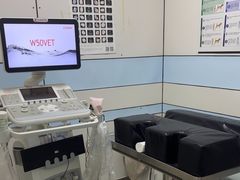 -中农国际动物医院24小时·猫科·骨科·急重症中心