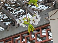 -郑和公园