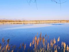 -野鸭湖国家湿地公园