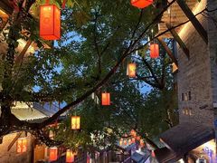 -重庆十八梯传统风貌区