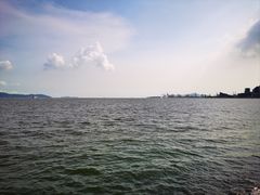 -深圳湾公园(南山区)