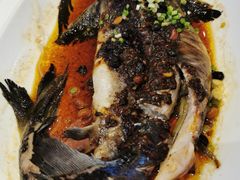 豆豉蒸鲟龙鱼-万龙洲海鲜(大兴绿地缤纷城店)