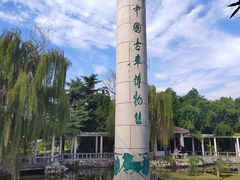 -古车博物馆
