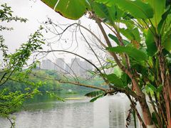 -重庆彩云湖湿地公园