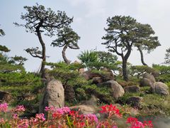 -罗红摄影艺术馆